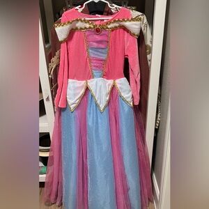 Disney Pink and Blue Princess Dress with Gold Trim